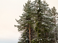 Sodankylä